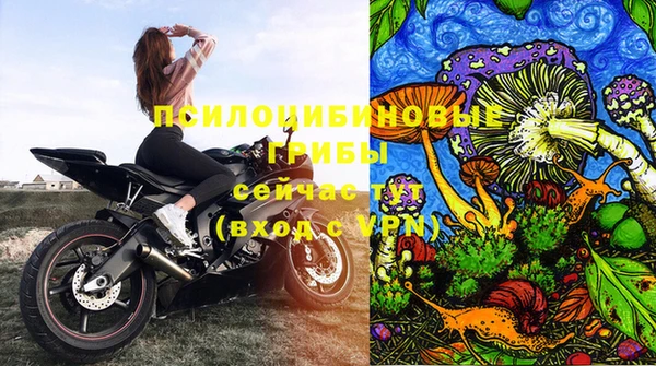 винт Армянск