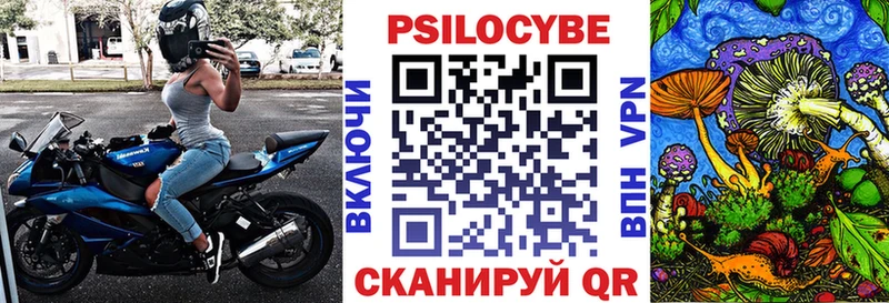 mega рабочий сайт  купить закладку  Порхов  Псилоцибиновые грибы мухоморы 